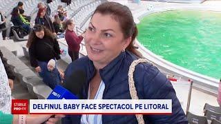 "Baby", puiul de delfin născut în captivitate la Constanța, a fost vedeta publicului