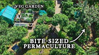 Stunning TINY Permaculture Backyard Kitchen Garden (With 30 Fruit Trees!)
