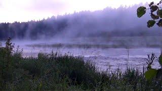 Fabulous Nature, Morning Fog Floats Over Water. Murmur of Water, Background Sounds for Relaxation.