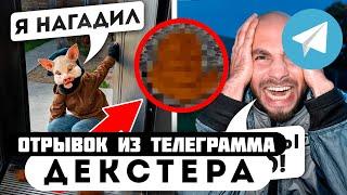 Прода из телеграмма // Декстер // КВАДРОБЕР НАГАДИЛ мне ПОД ДВЕРЬ!