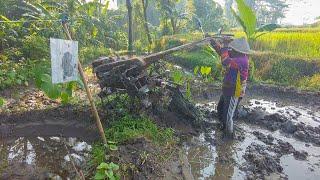 Traktor Sawah Berpindah-Pindah Lahan Garap 2 Petak Lahan Kecil Paling Pojok