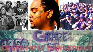 Who are the Grape Street Crips? The story of one of LA's most ruthless gangs| GSC VS BHB