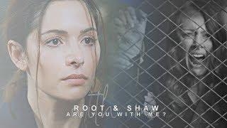 root & shaw || are you with me? [HBD DENISA #4]