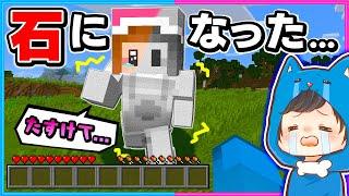 石化してしまったぴのを救い出せ!!【マイクラ/まいくら】