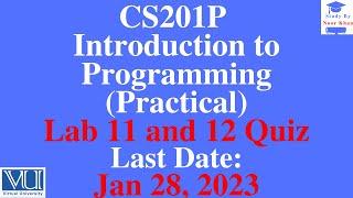 CS201P-Introduction to Programming Lab 11 and 12 Quiz solution|CS201P Lab 11 and 12 Quiz 2023#cs201p