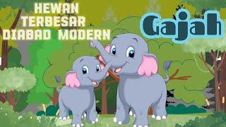 Dunia Binatang || Mengenal Hewan Terbesar di Abad Modern || Gajah ||