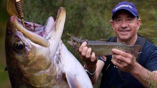 TROUT Fishing the Snowy Mountains in Australia: Camping, Cooking + Mountain Huts! FULL ADVENTURE!