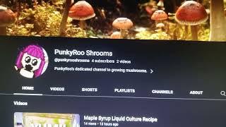 PunkyRoo DEDICATED Shroom Channel!!!