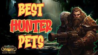 The Definitive SoD Hunter PET Guide