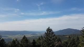 Aussicht von der Spitzwandkanzel Drachselsried Schareben