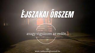 ÉJSZAKAI ŐRSZEM.. AVAGY VIGYÁZOM AZ ERDŐT..