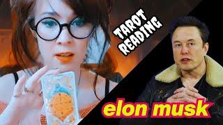 Tarot Reading for Elon Musk ️ AI Psychonaut "God" of the Apocalypse 