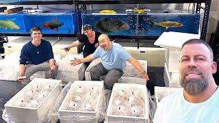 UNBOXING LIVE FISH FROM ASIA - Part 2