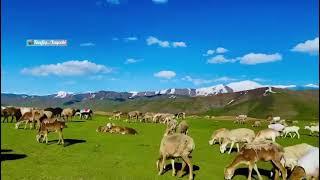 SHIWA Badakhshan,Afghanistan | Life in rural areas