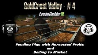 GCV Episode 4 Feeding Pigs with harvest fruits and selling pigs to market