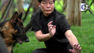 Fujian Dishu Fist - Unique Combat Techniques Inspired by Dogs | Kung Fu