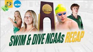 NMU Swim and Dive's RECORD BREAKING Performance at NCAA Championships