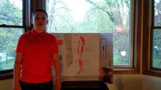 Leo's Innovation Project: Electrical Muscle Stimulator