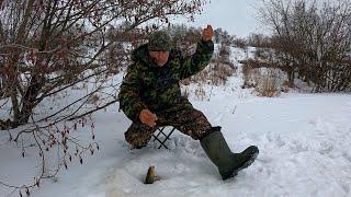 ВОТ ЭТО РЫБАЛКА! С каждым часом все крупнее и крупнее!