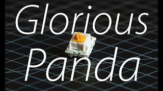 Snap, Clack, Thock | Glorious Panda Switch Review