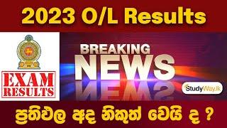 ප්‍රතිඵල නිකුත් වෙලා ද ? | O/L results 2024 Out Now | Check Here !