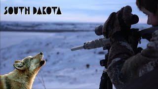 Hardcore coyote hunting | SOUTH DAKOTA