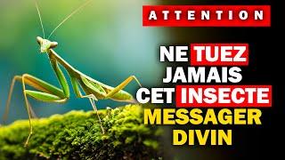 "Ne Tuez Jamais une Mante Religieuse: Mystères et Messages des Anciens"