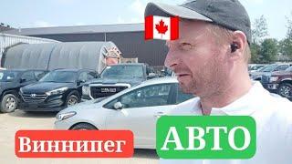 автодиллер в ВИННИПЕГе  Рекомендую.