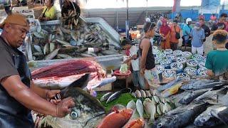 The need for fish for one city is excessive, | Fishermen make a lot of profit from selling fish