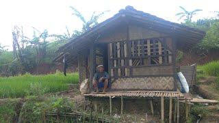 SUASANA ADEM DAN TENANG MENIKMATI MASA TUA TINGGAL DI GUBUK TENGAH SAWAH,...!!!