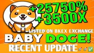 BABY DOGE COIN: MASSIVE PUMP COMING | BKEX LISTING VERY SOON NEW UPDATE