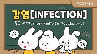 【한국어 배우기】 한국어 중급 어휘 005, Intermediate Vocabulary ,감염(Infection)