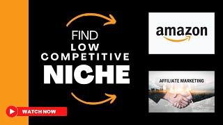 How to Find Low Competitive Niche for Amazon Affiliate Marketing