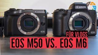 Canon EOS M50 vs. EOS M6: Beste Kamera für YouTube und Vlogs?