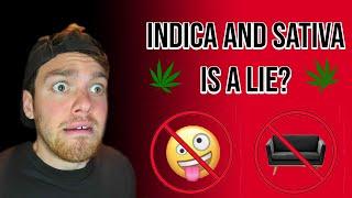 Indica and Sativa MEANS NOTHING! (Terpenes, THC, CBD, Hemp, and effect profiles DEBUNKED)