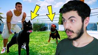 FRANKLİN'E YENİ KÖPEK ALDIM AMA BUNU YAPACAĞINI BİLMİYORDUM! - GTA 5