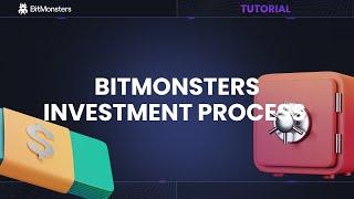 BitMonsters investment process