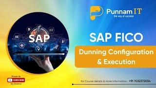 SAP FICO Dunning procedure And Run