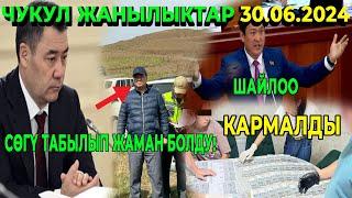 ЧУКУЛ КАБАР СӨГҮ ТАБЫЛЫП ЖАМАН БОЛДУ! КАРМАЛДЫ