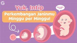 Perkembangan Janin Minggu per Minggu