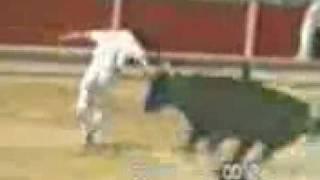 Bullfight gone wrong