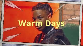 (FREE) Afrobeat Rema x Wizkid Type Beat - "Warm days" | Type Beat Afrobeat Instrumental