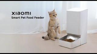 Xiaomi Automatic Smart Pet Feeder Unboxing — Perfect for Cats & Dogs! — Not Sponsored!