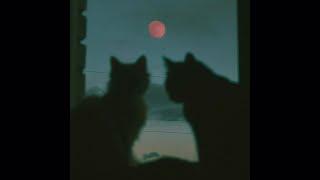 [SOLD] Post Punk Type Beat - "Red Moon" // Eyedress x Molchat Doma Type Beat