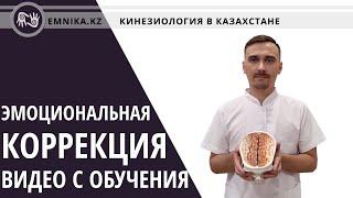 Эмоциональная коррекция. Эмоциональные блоки. Пример работы с обучения