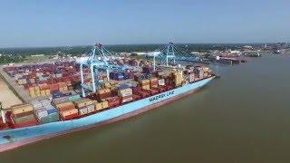 APM Terminals Mobile Overview