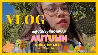 VLOG #1 Walking tour in autumn Norway  เดินเที่ยวเมืองที่นอร์เวย์ ช่วงฤดูใบไม้ร่วง