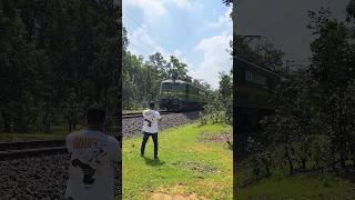  Unseen Dangers of Sanjay Dubri's Railway Line" #shorts #wildlife #tiger #joju_wildjunket