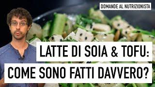 Latte di soia e Tofu: come sono fatti davvero?