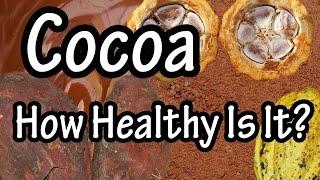 Cocoa - What is Cocoa processed with Alkali - Cocoa Beans And Cocoa Butter